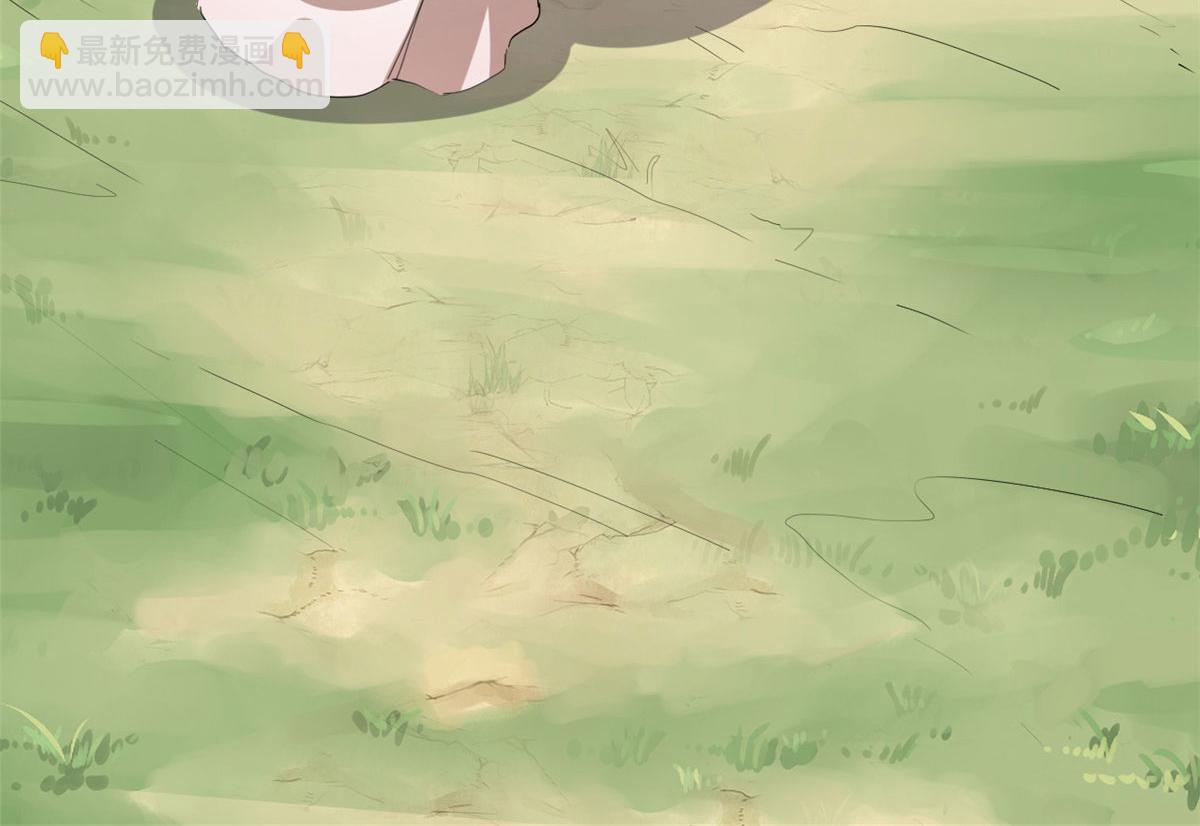 毒步天下：特工神醫小獸妃 - 第266話(1/2) - 3