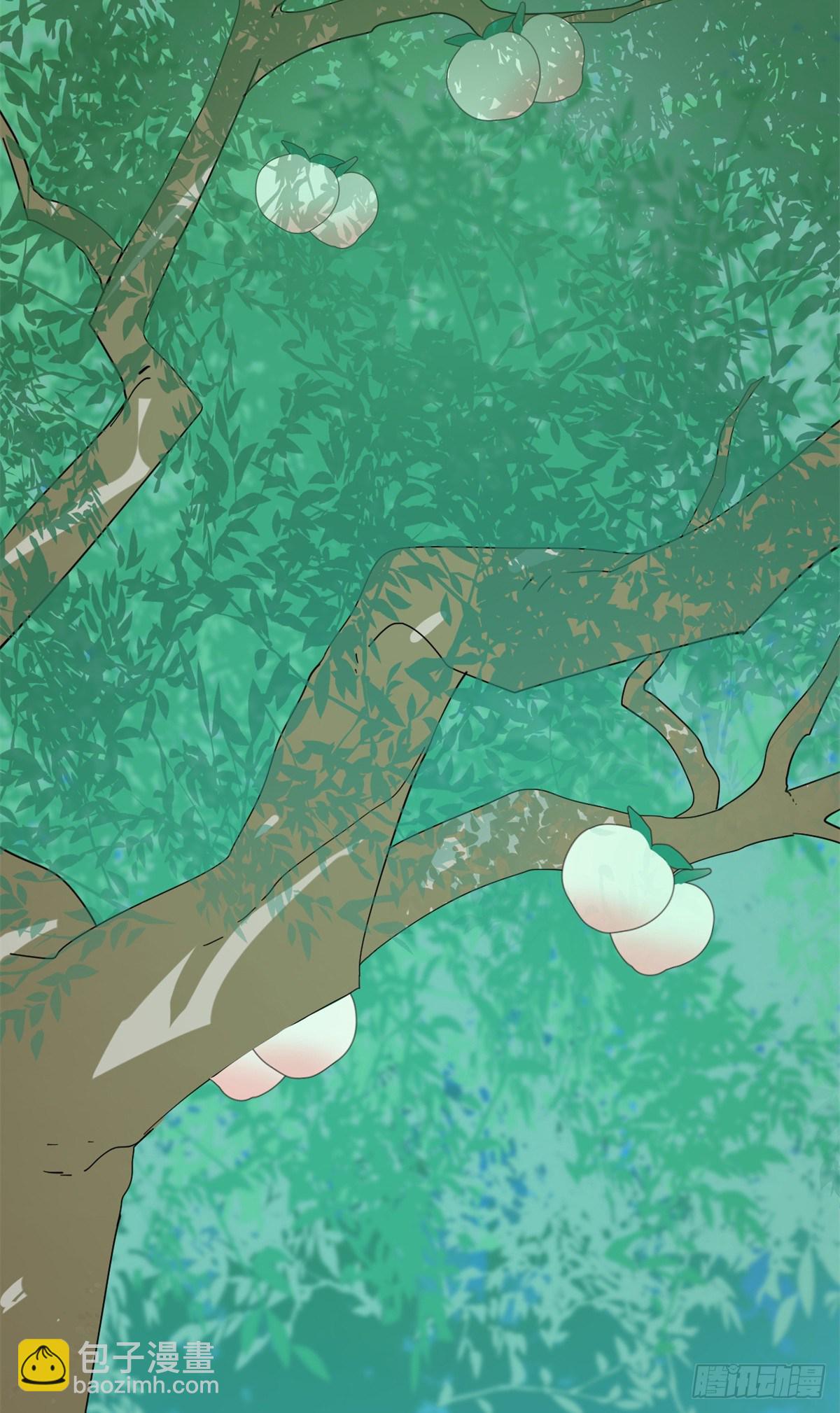 毒步天下：特工神醫小獸妃 - 308 - 2