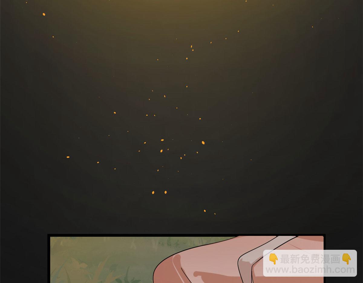 毒步天下：特工神醫小獸妃 - 310(1/3) - 3