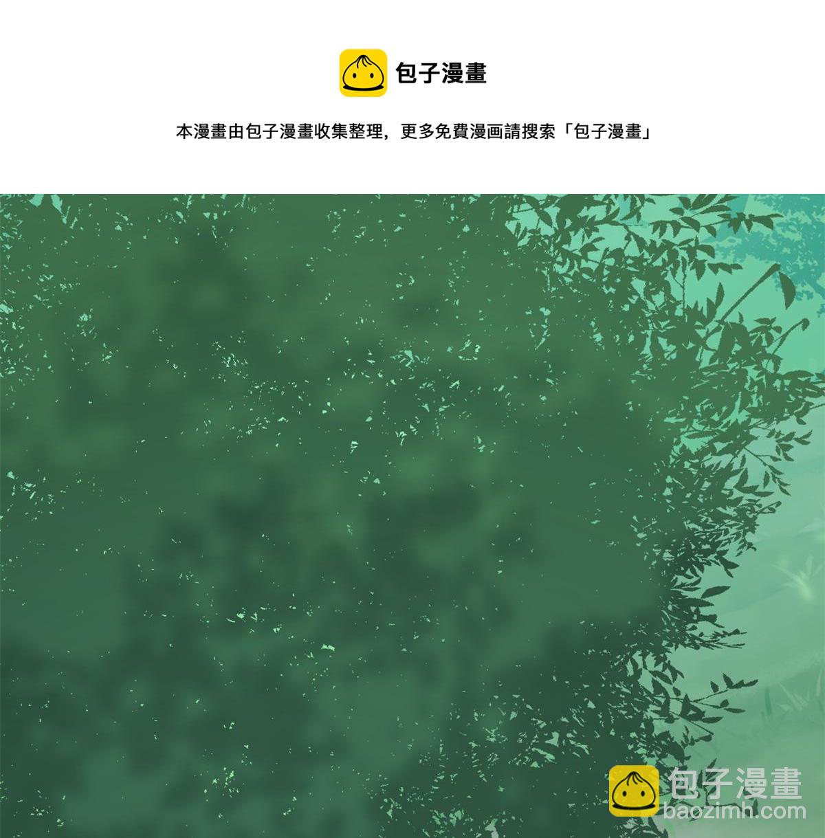 毒步天下：特工神醫小獸妃 - 312(1/2) - 3