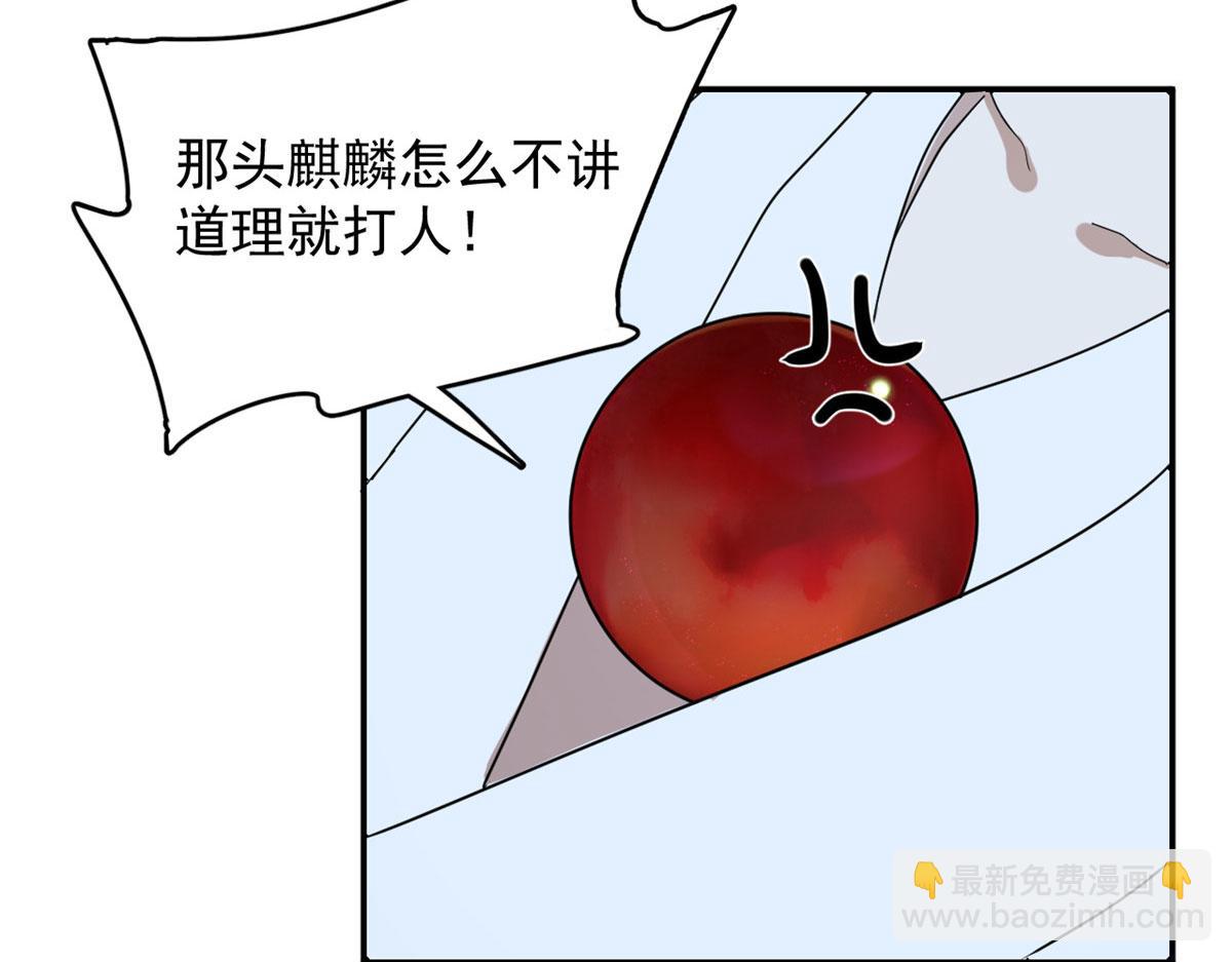 毒步天下：特工神醫小獸妃 - 326(1/2) - 3