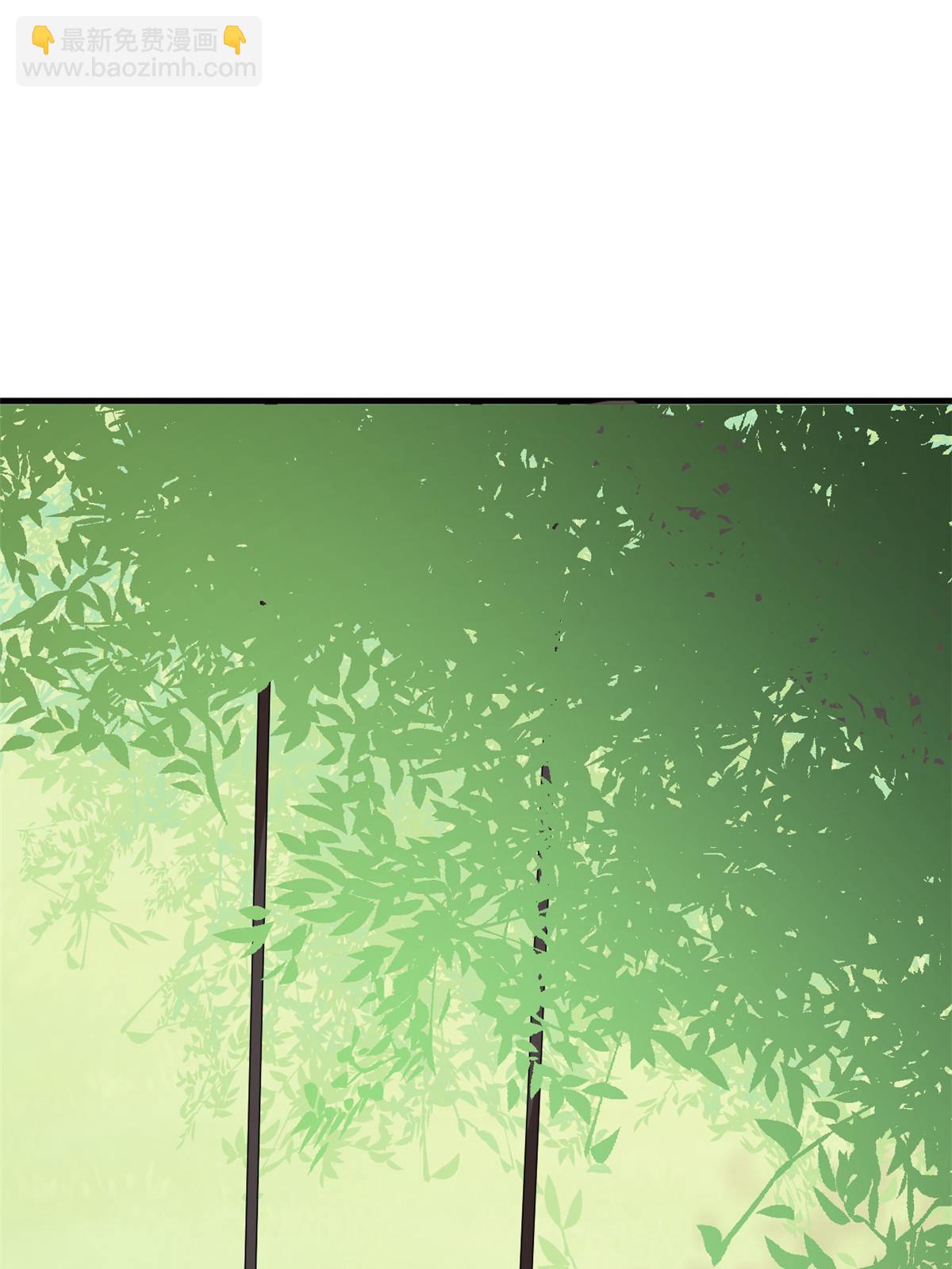 毒步天下：特工神醫小獸妃 - 330(1/2) - 4