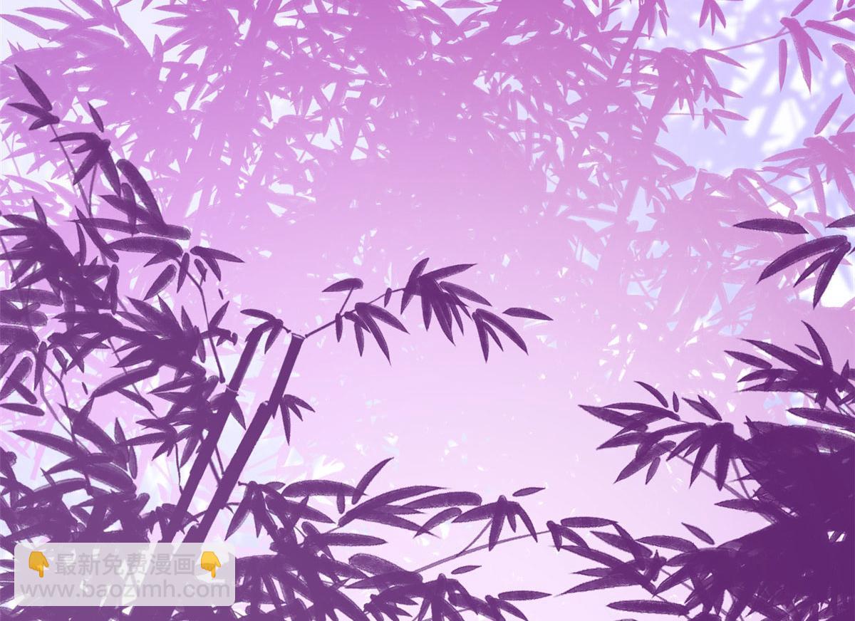 毒步天下：特工神醫小獸妃 - 356(3/3) - 4