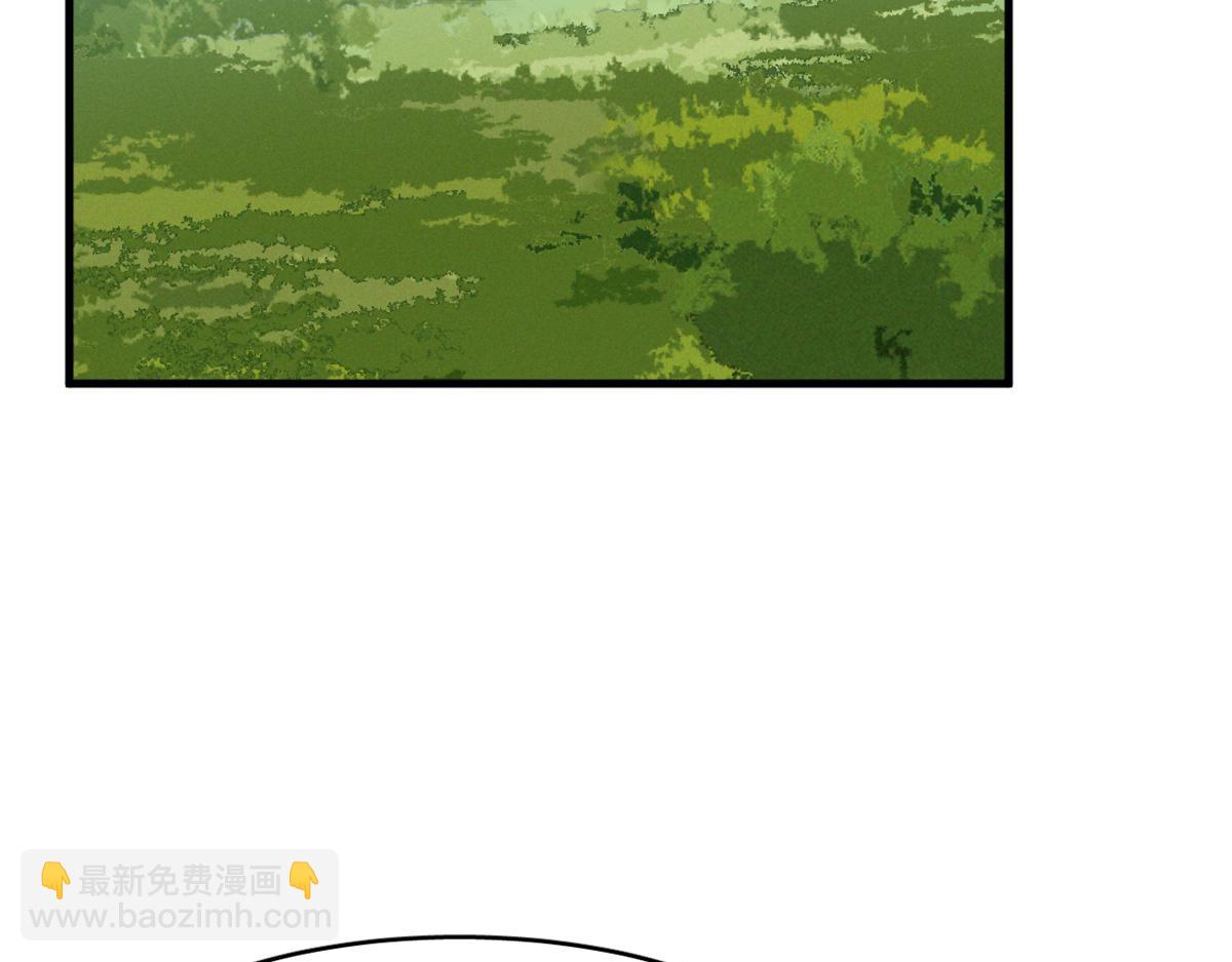 毒步天下：特工神醫小獸妃 - 380(1/3) - 1