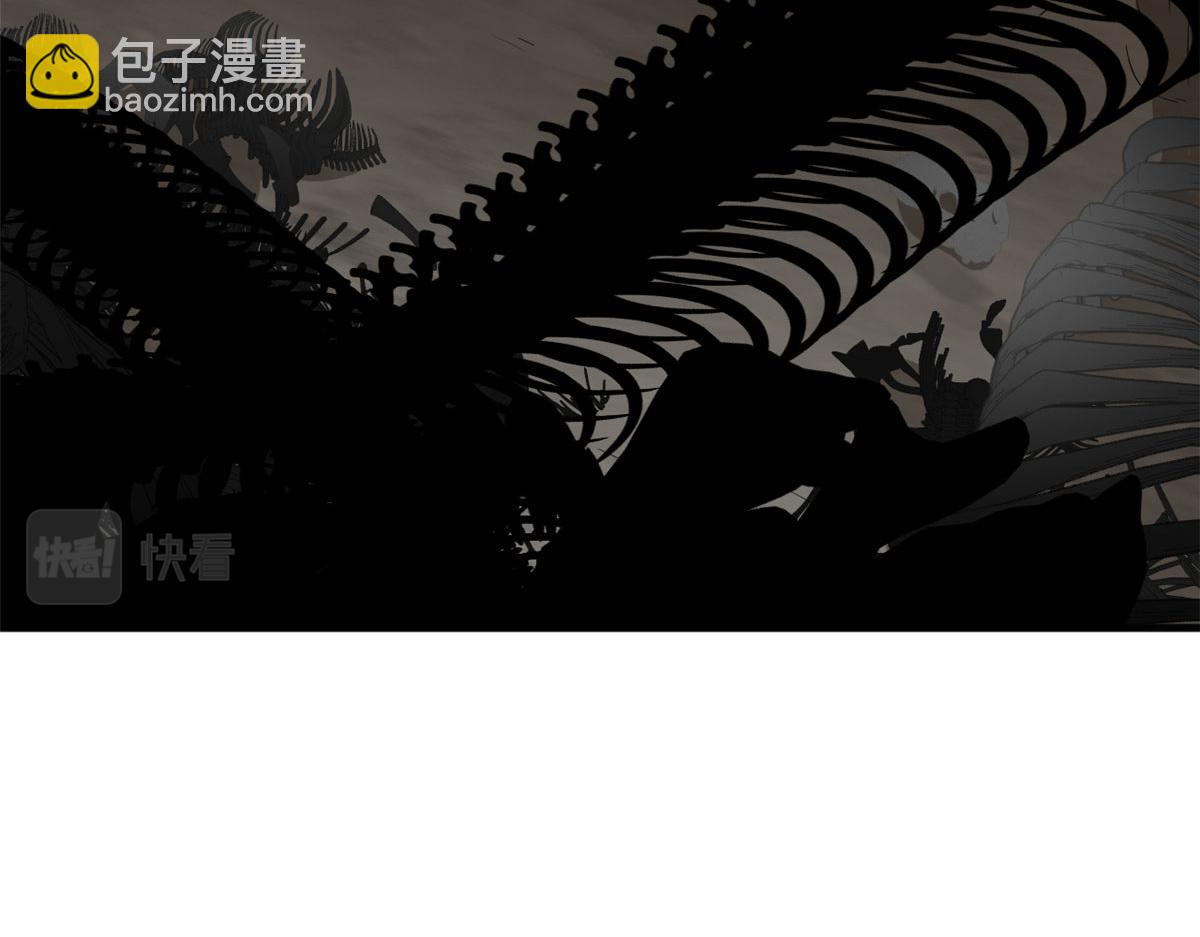 毒步天下：特工神醫小獸妃 - 392(3/3) - 5