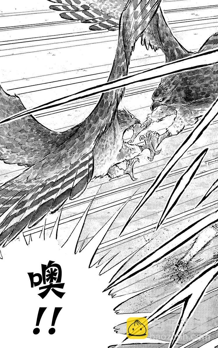 第54话 隼翼之战(1/4)-第54话