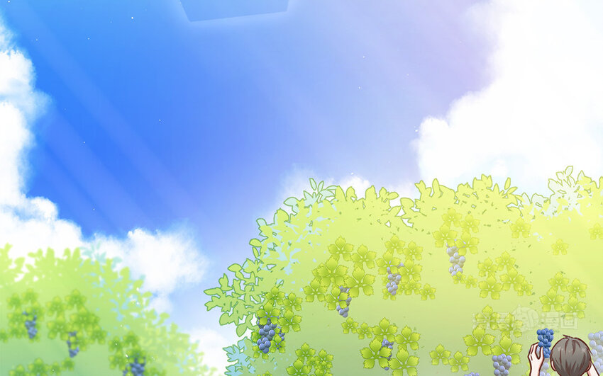 44 第42话 重伤退赛？！(1/3)-第44话