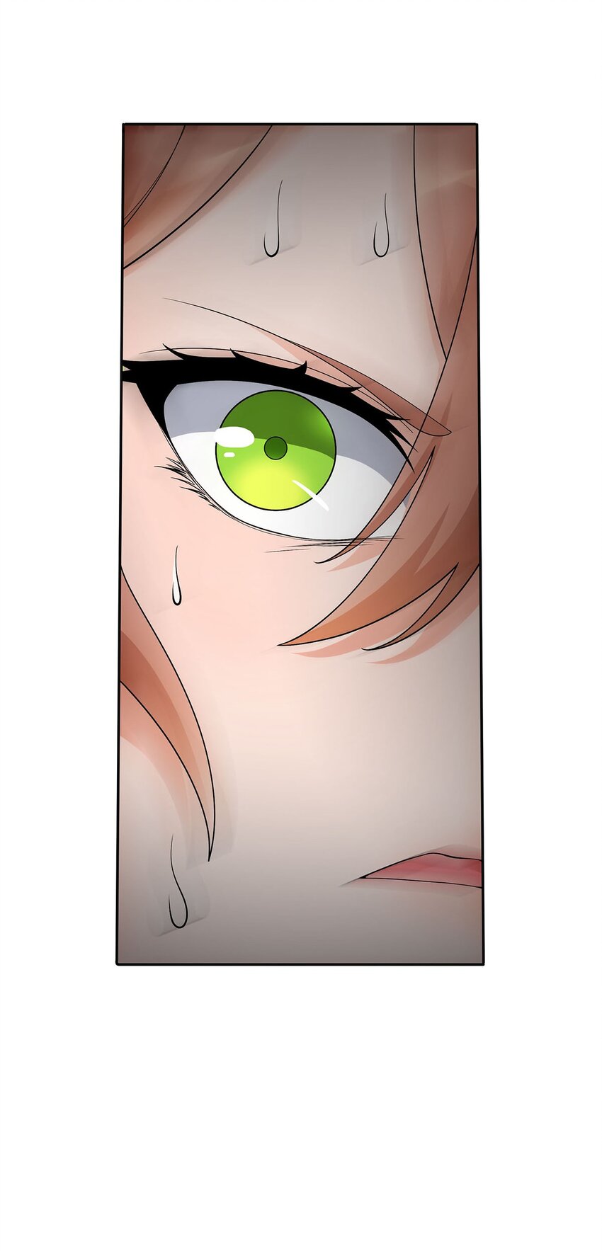 14 幽游的过往-第14话