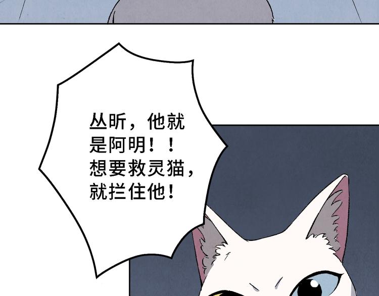 第17话 拯救灵猫(1/2)-第18话