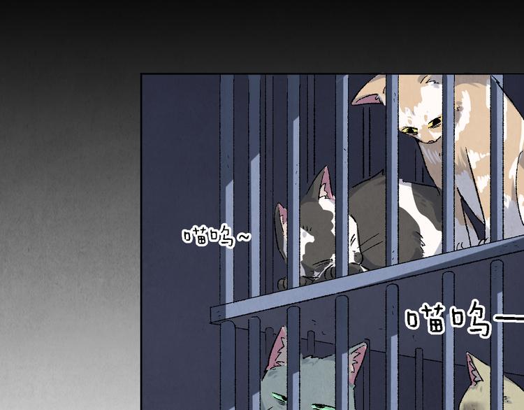 第17话 拯救灵猫(1/2)-第18话