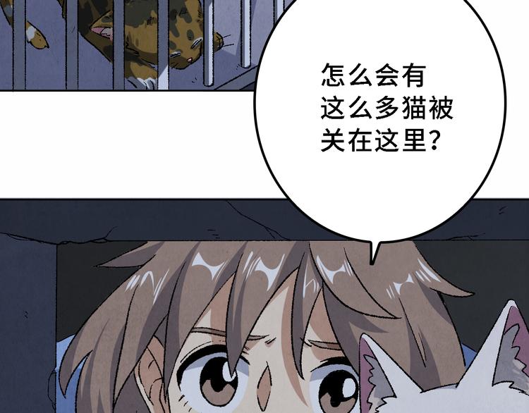 第17话 拯救灵猫(1/2)-第18话