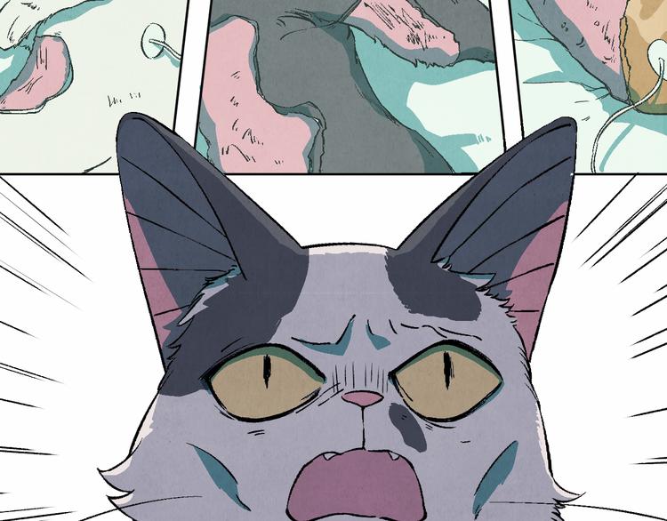 第24话 狭路死斗(1/3)-第26话