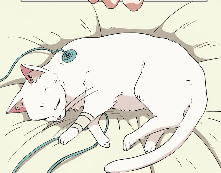 第05话 渡猫师(1/4)-第6话