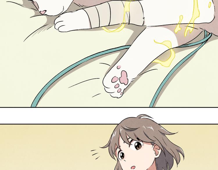 第05话 渡猫师(1/4)-第6话