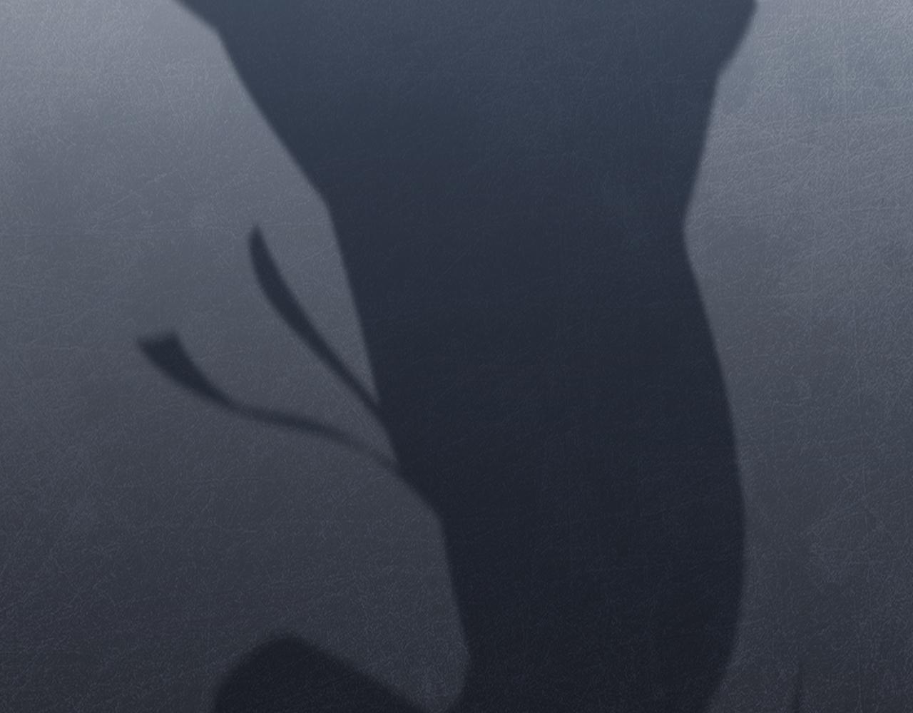 番外篇 命运的网（下）(1/4)-第64话