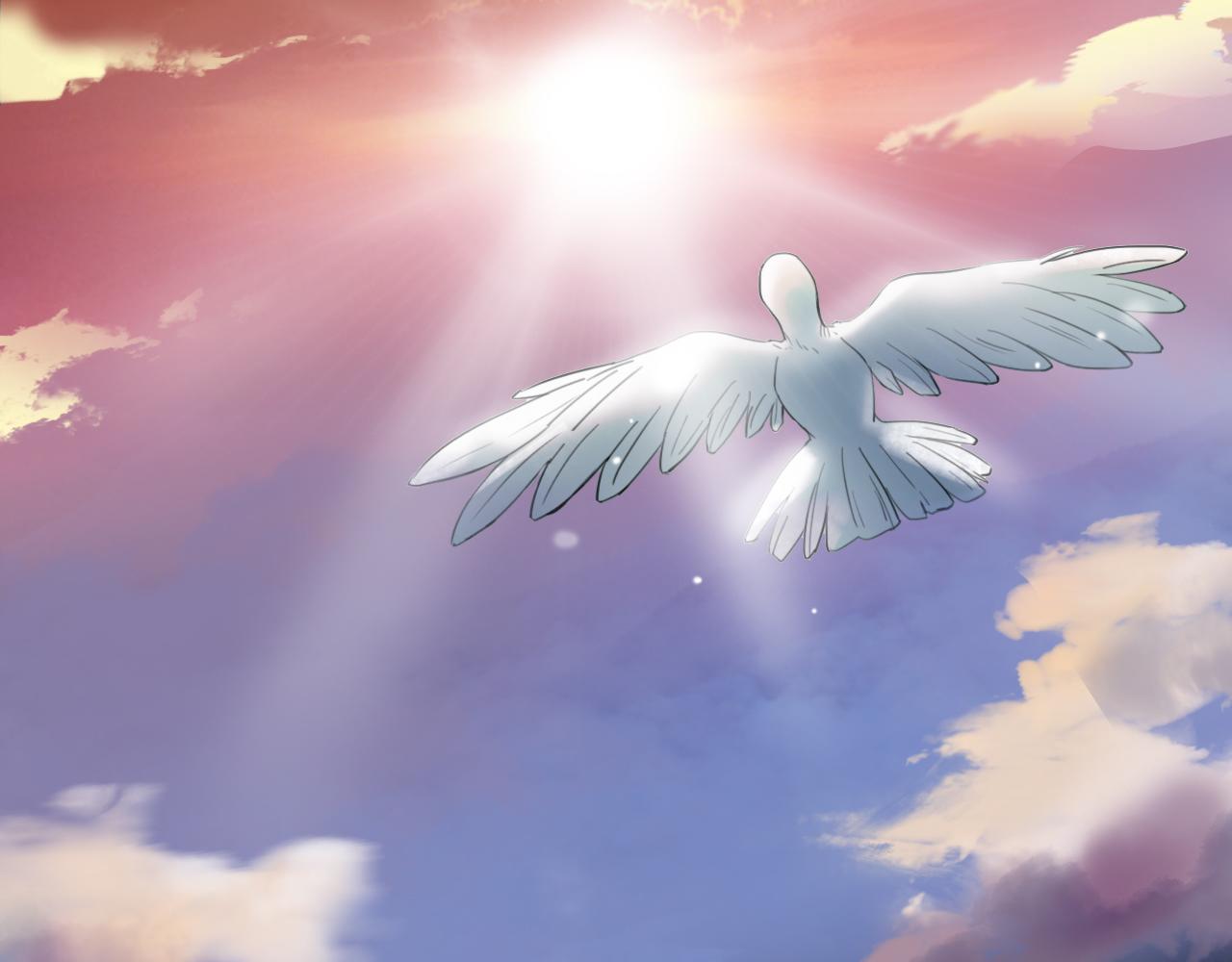 番外篇 命运的网（下）(1/4)-第64话