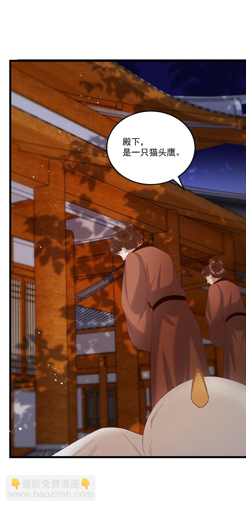 052 被鸟抓走了？！-第54话