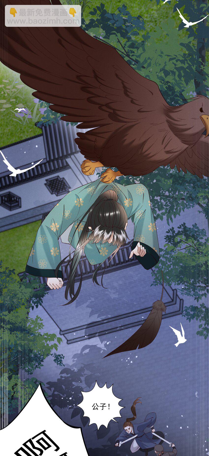 052 被鸟抓走了？！-第54话