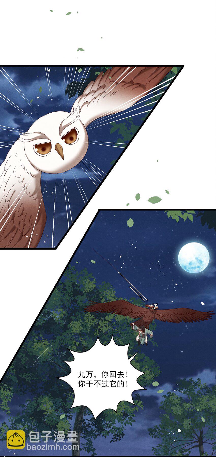 052 被鸟抓走了？！-第54话