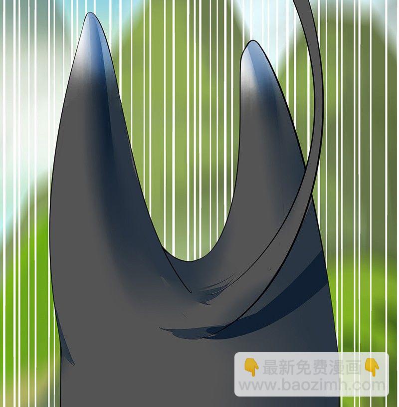 你可记得一只从天而降的大猫-第16话