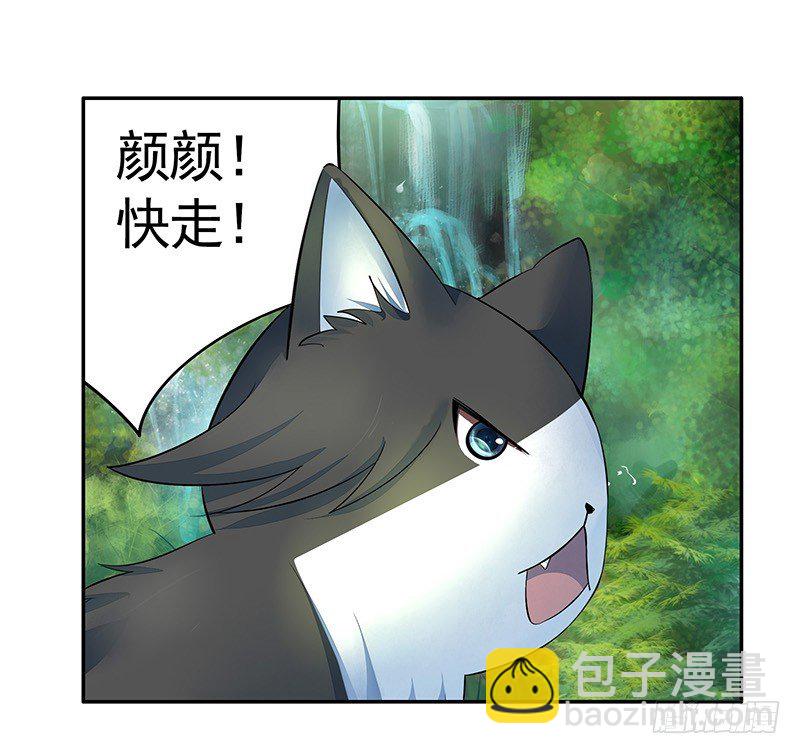 你可记得一只从天而降的大猫-第16话