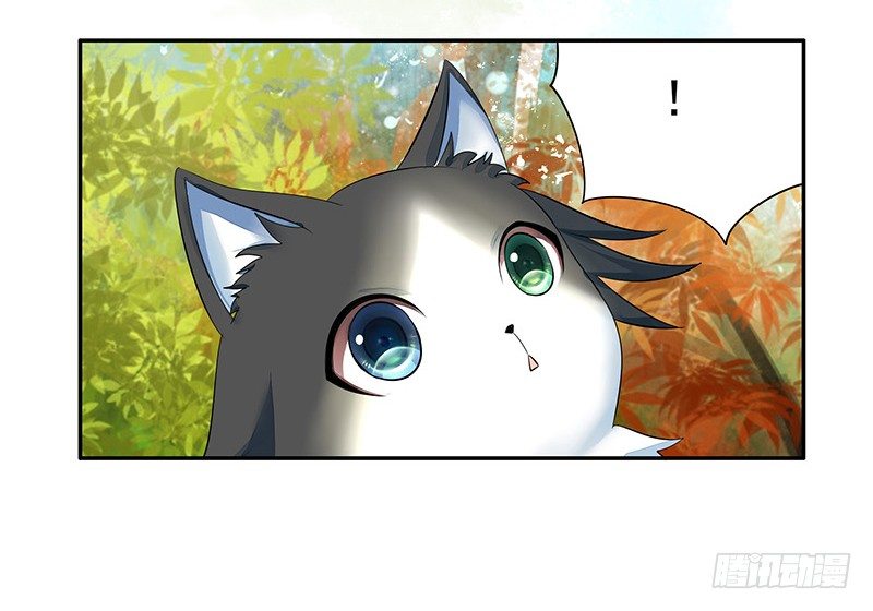 你可记得一只从天而降的大猫-第16话