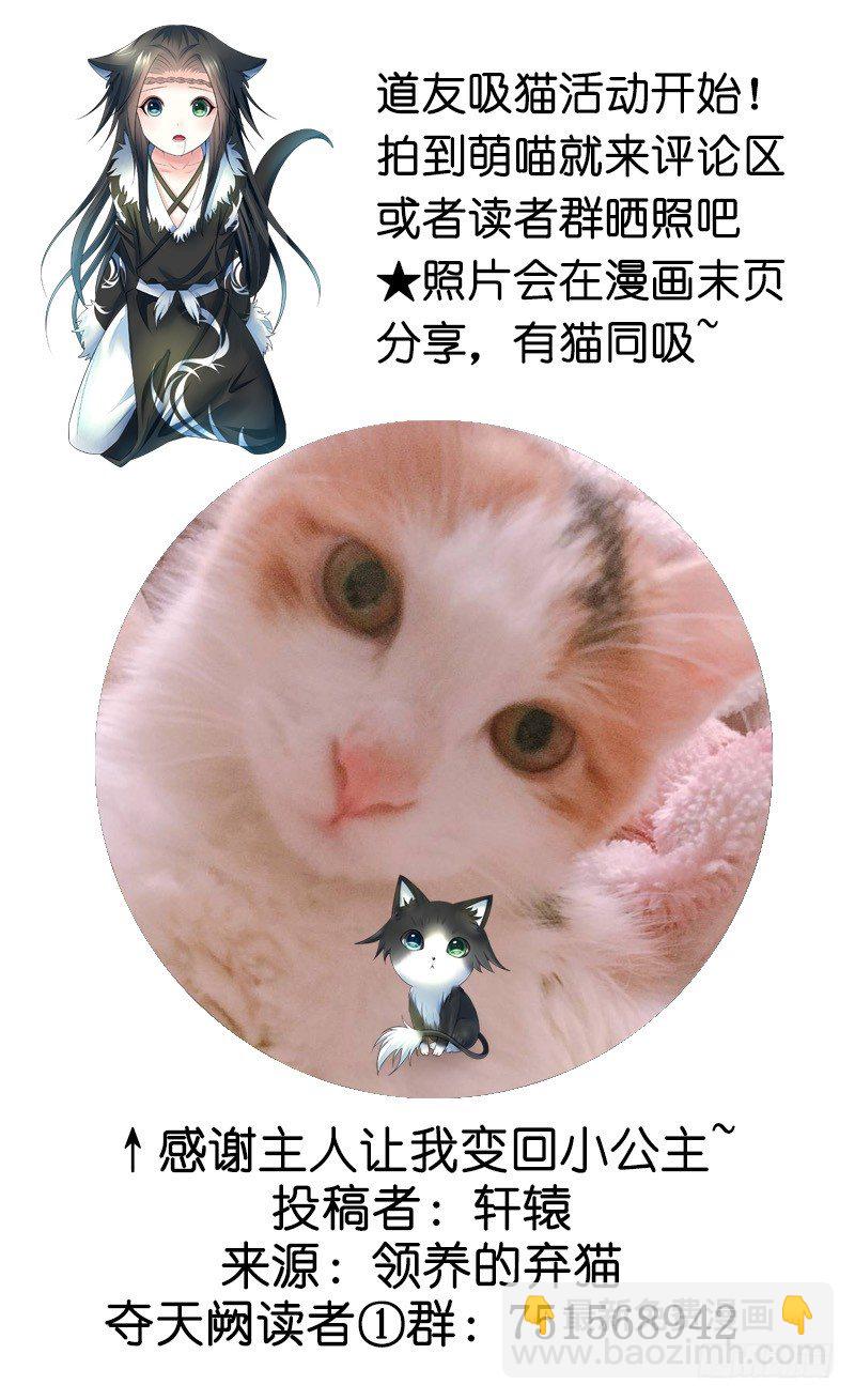 你可记得一只从天而降的大猫-第16话