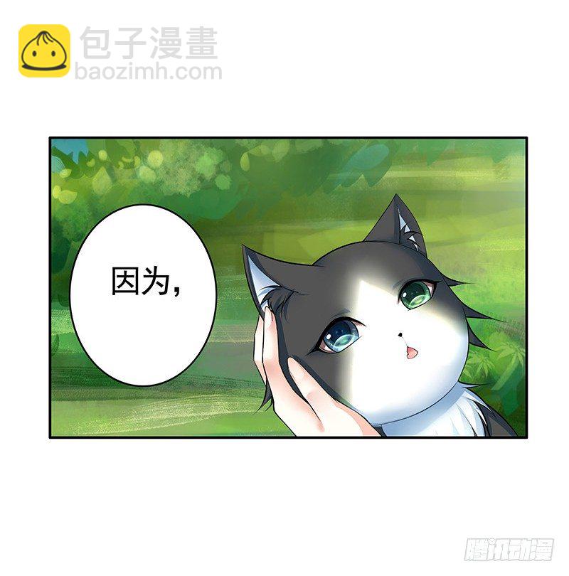女人你这是在玩猫-第20话