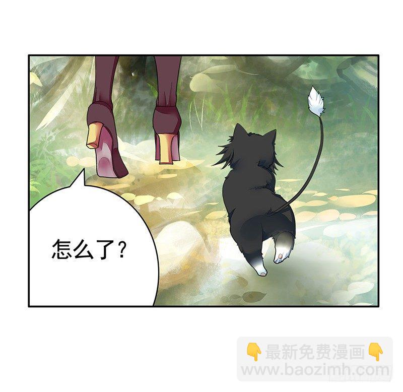 女人你这是在玩猫-第20话