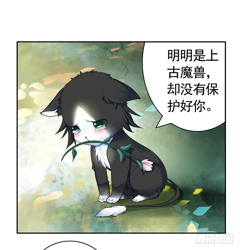 女人你这是在玩猫-第20话