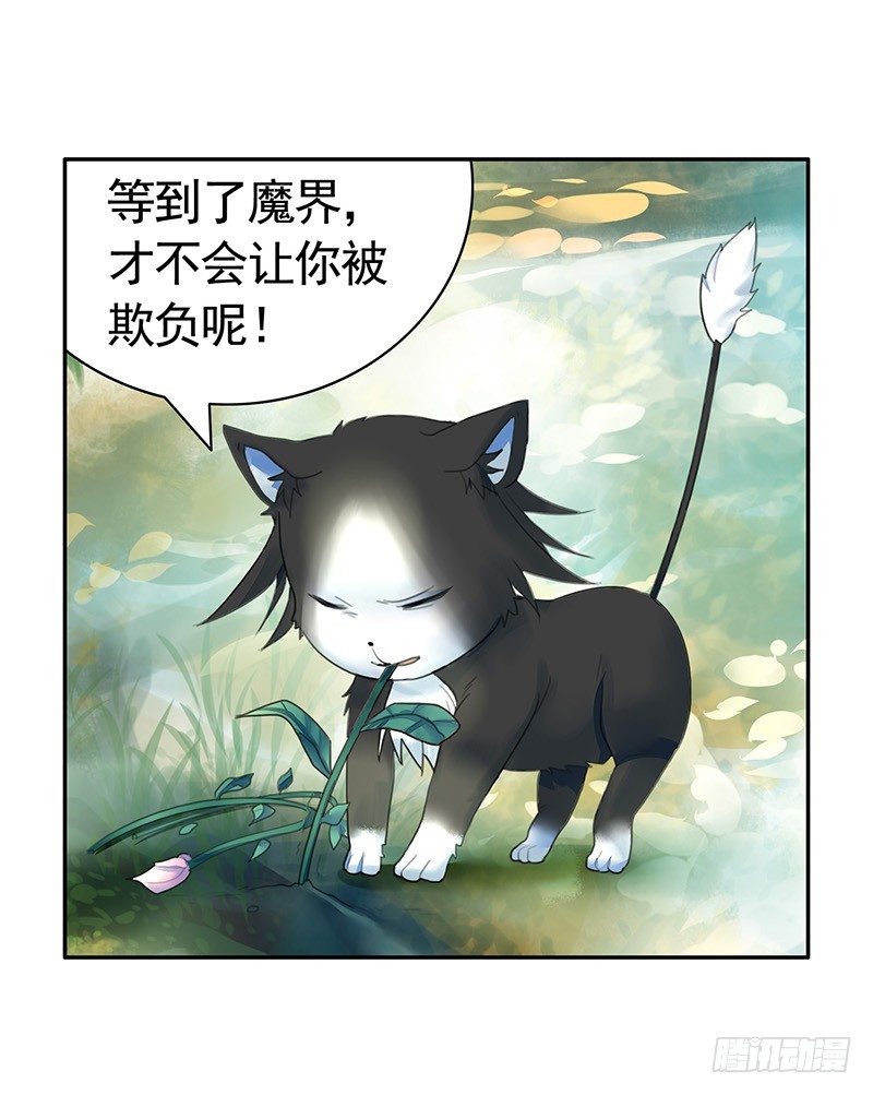 女人你这是在玩猫-第20话