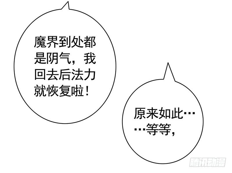 女人你这是在玩猫-第20话