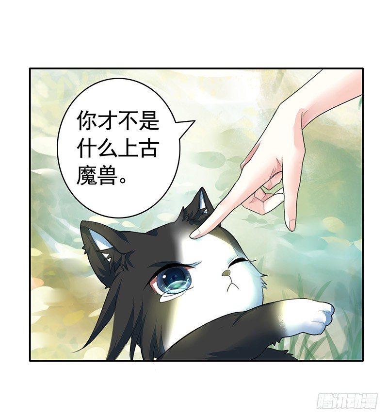 女人你这是在玩猫-第20话