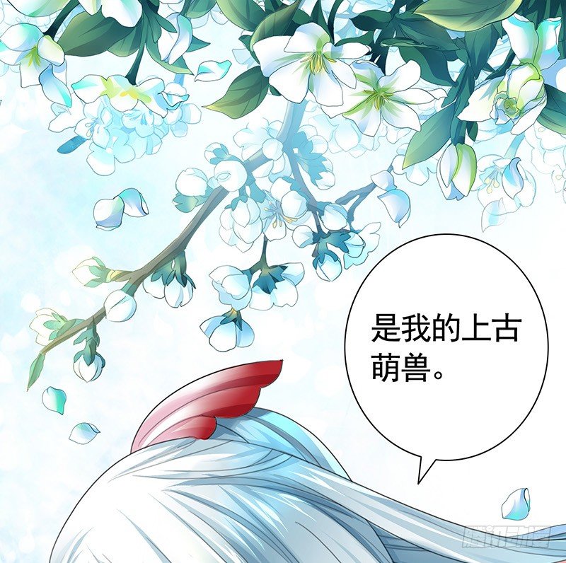 女人你这是在玩猫-第20话