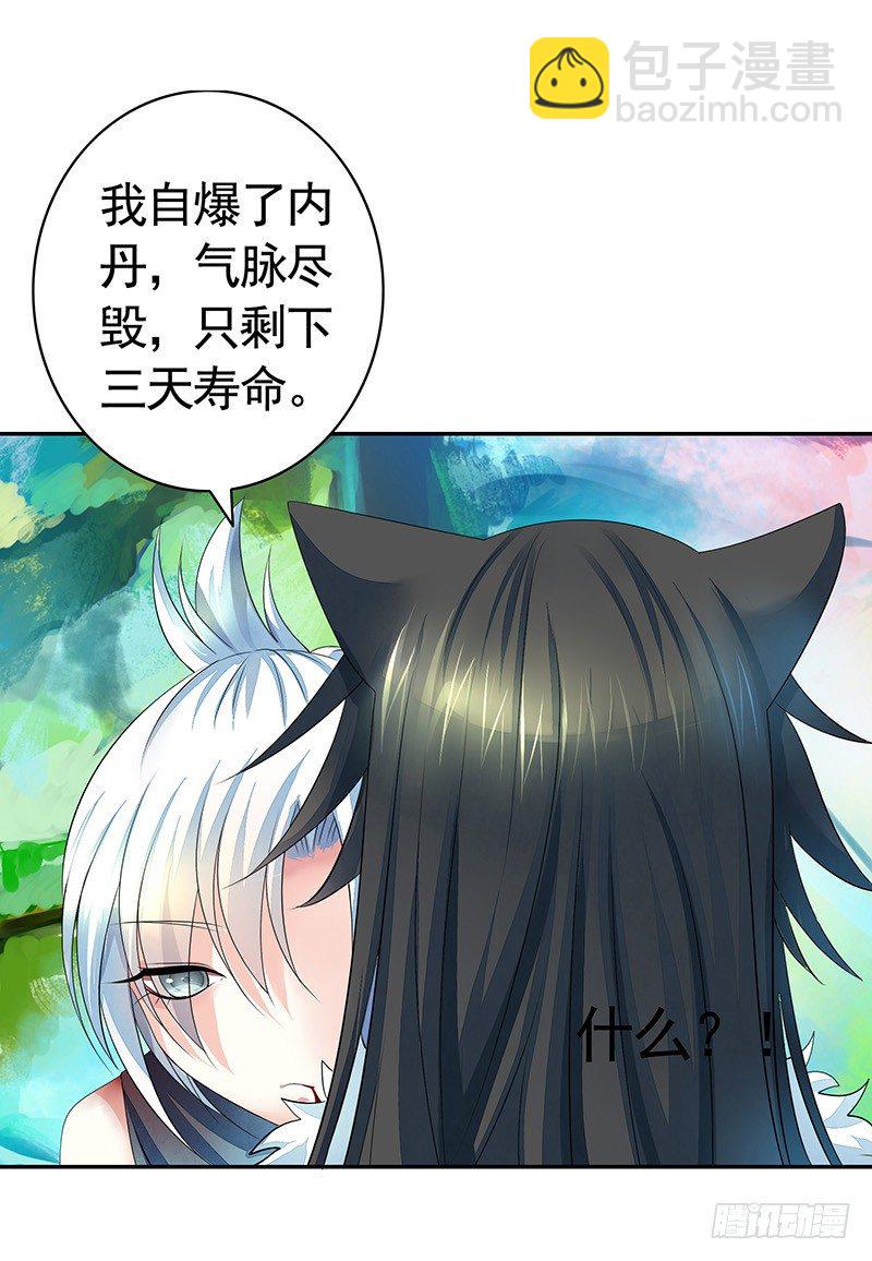 死前让我撸只猫-第4话