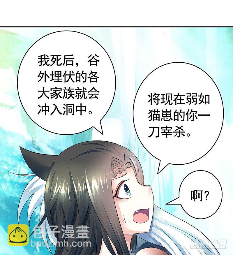 死前让我撸只猫-第4话