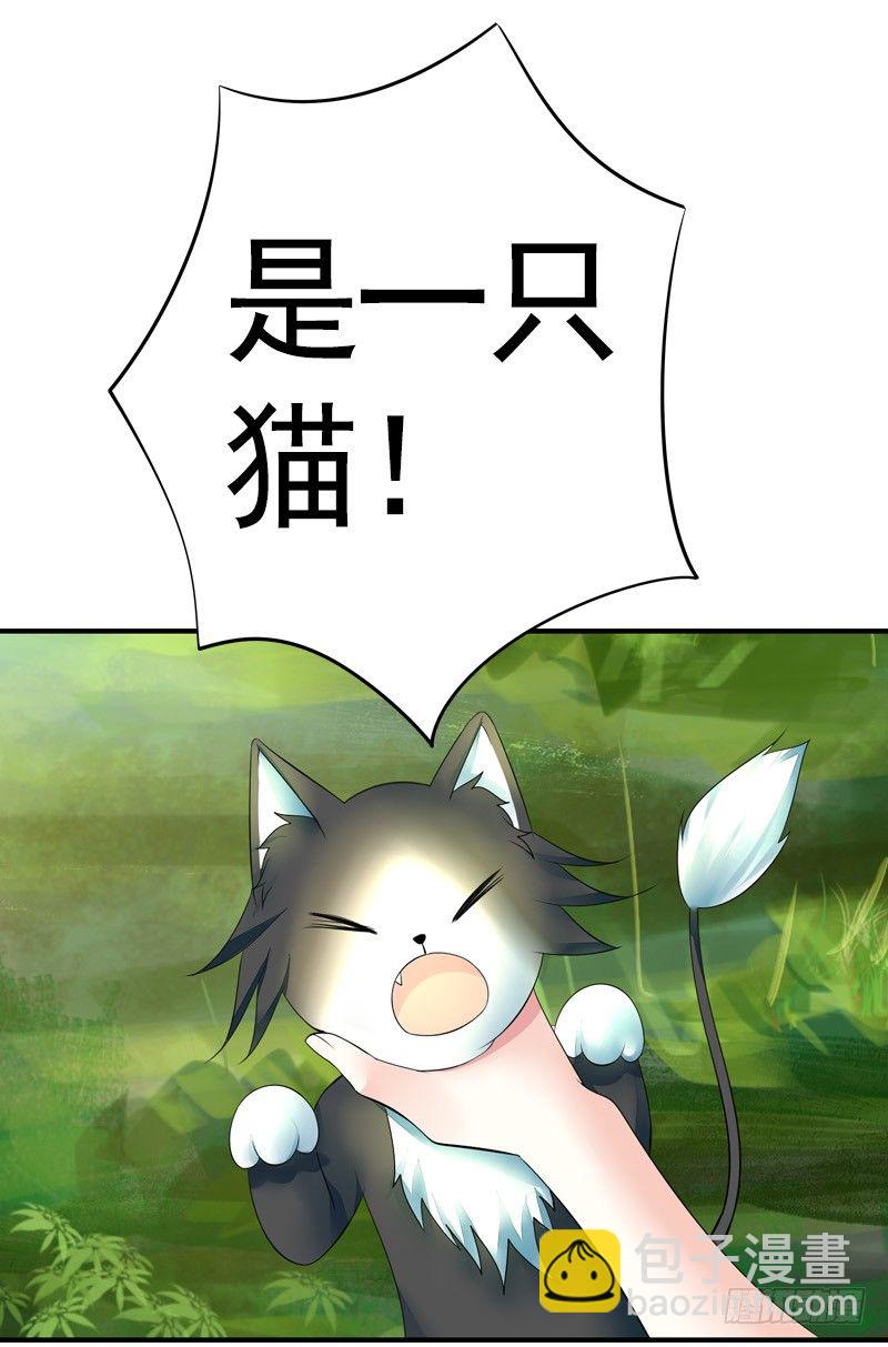 本集免费，一起吸猫！-第34话