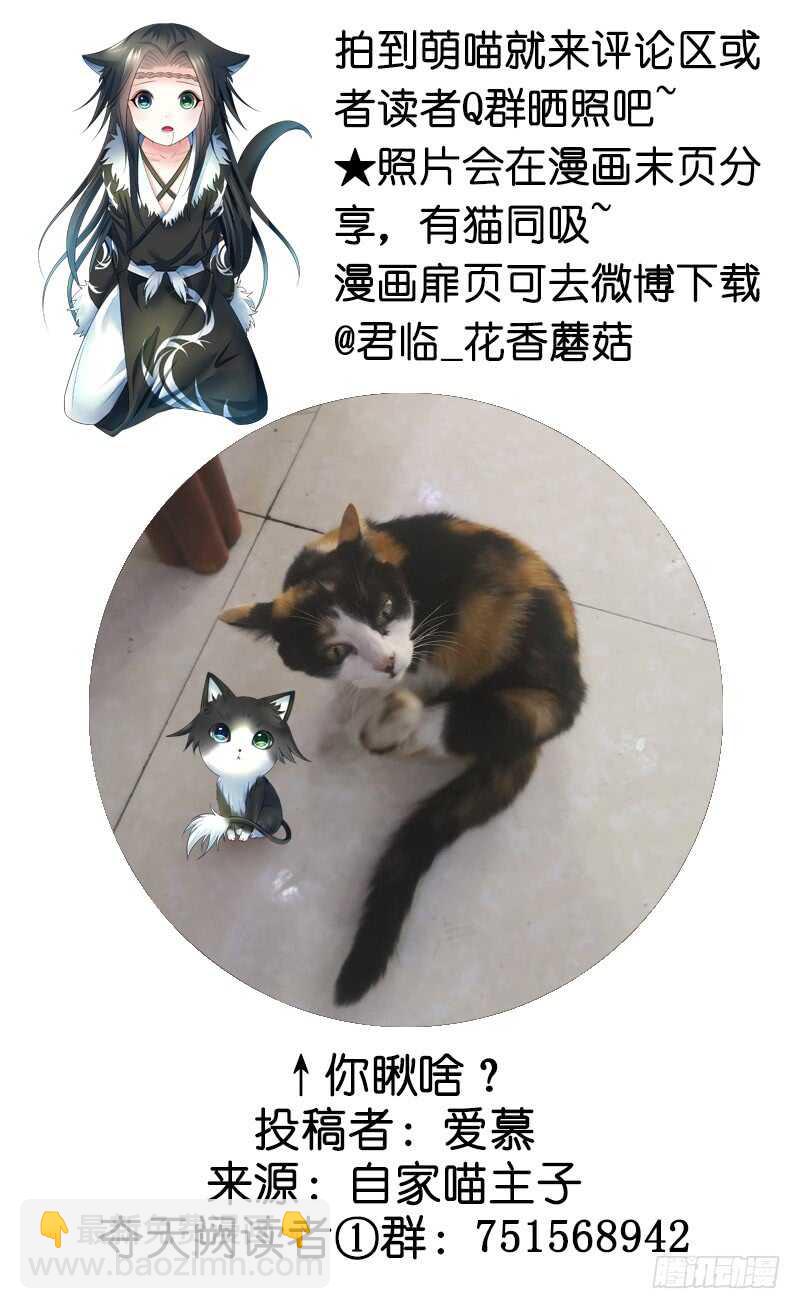 你好，我来抢亲-第50话