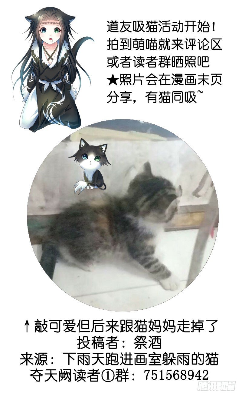 奪天闕 - 喵得你懷疑人生 - 7