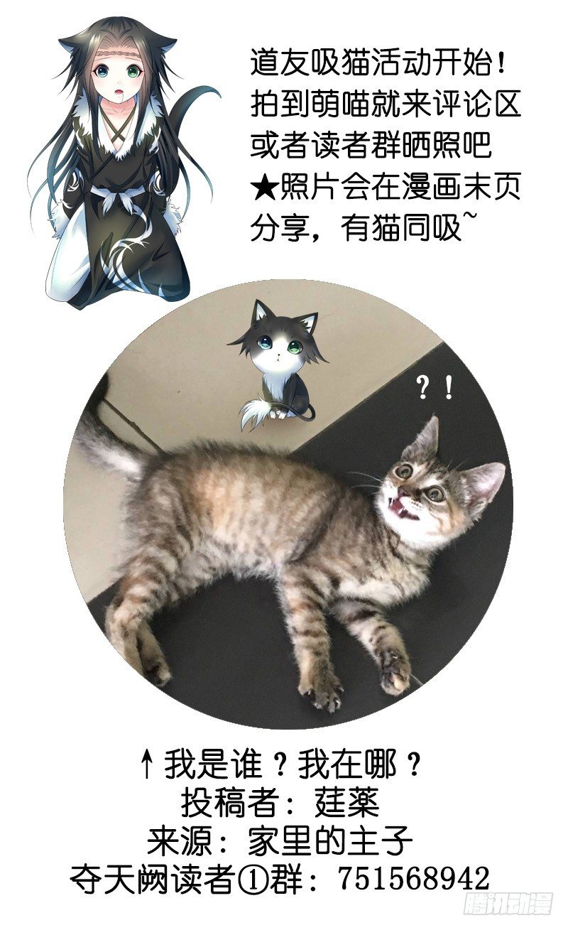 奪天闕 - 喵得你懷疑人生 - 8