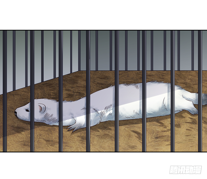 武尊令牌？老子不屑-第58话