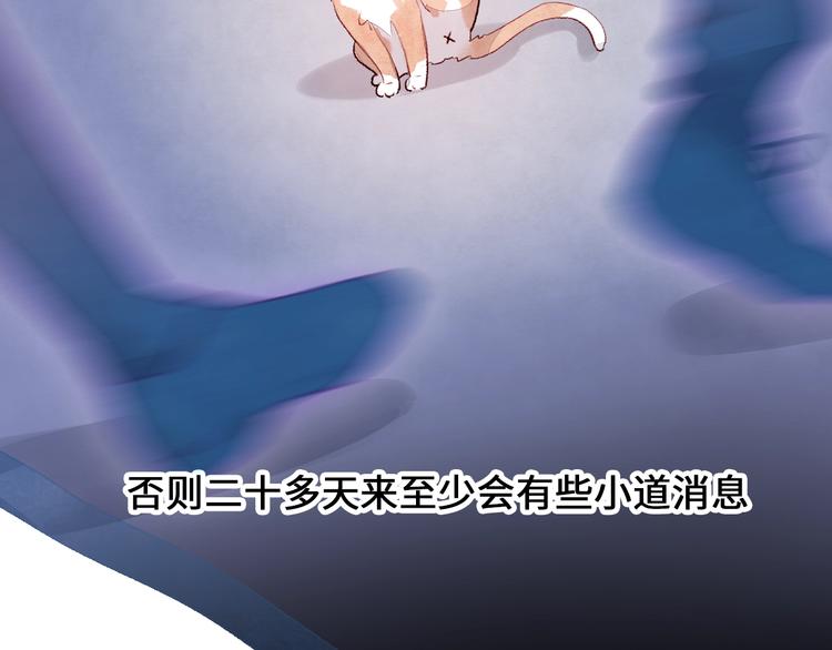 第9话 吸猫的正确姿势(1/4)-第10话