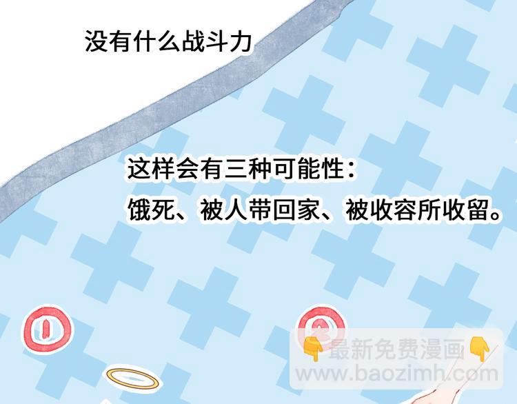 第9话 吸猫的正确姿势(1/4)-第10话