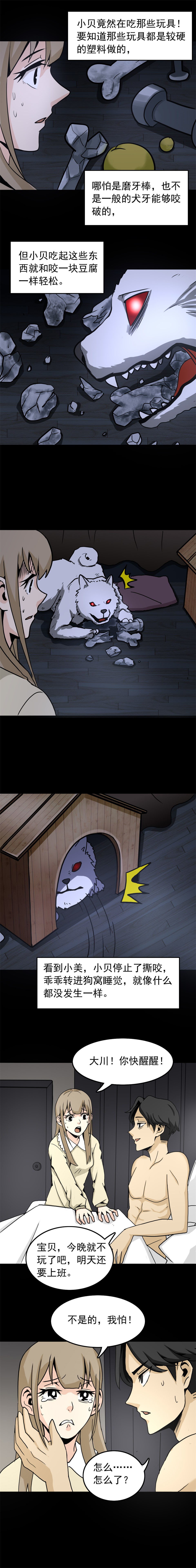 宠物 第2话-第18话