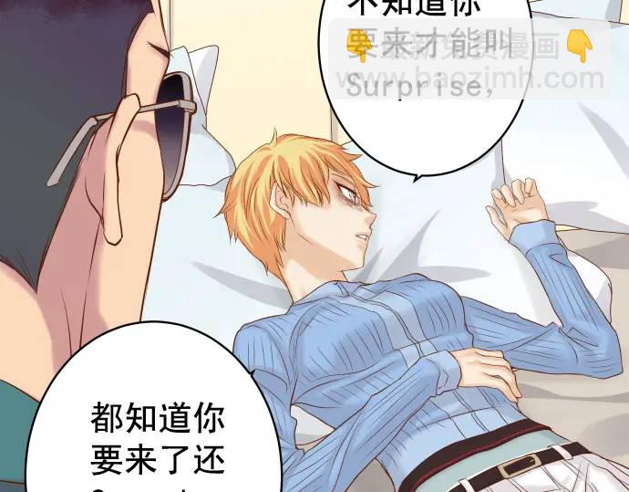 第341话 打算(1/3)-第246话