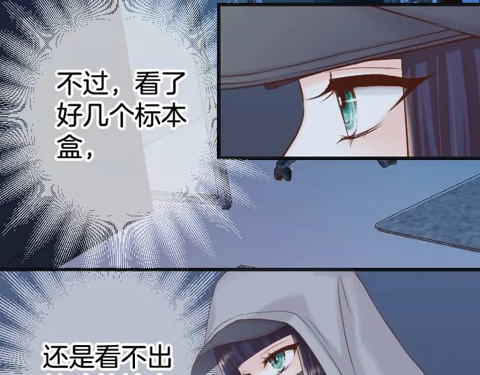 第360话 Search(1/3)-第258话