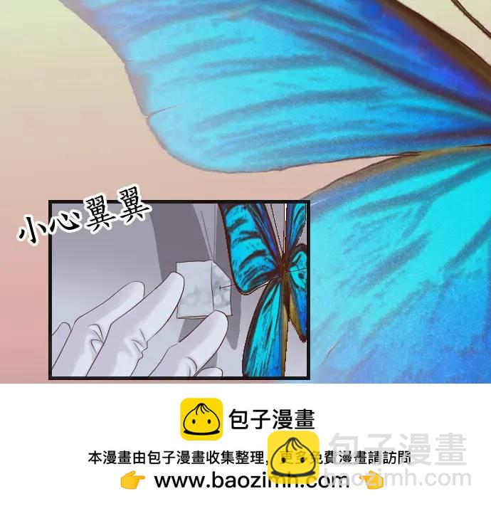 第360话 Search(1/3)-第258话