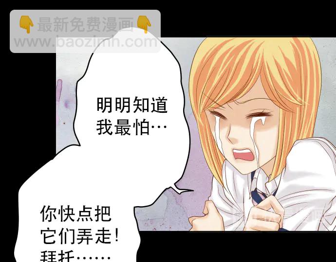 第257话 掩盖(1/2)-第80话