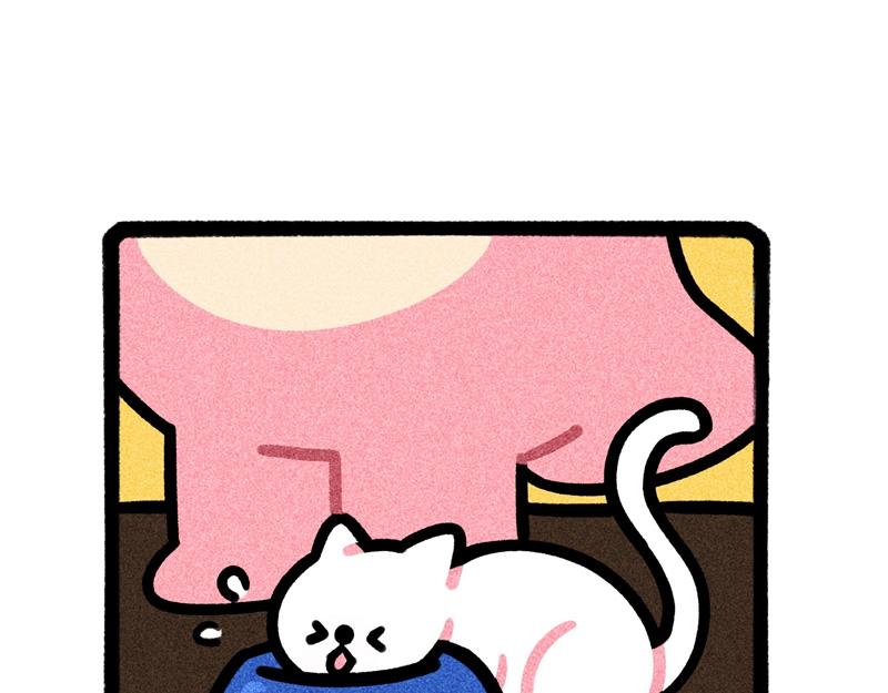 能挽救世界的，只有爱和小猫-第12话