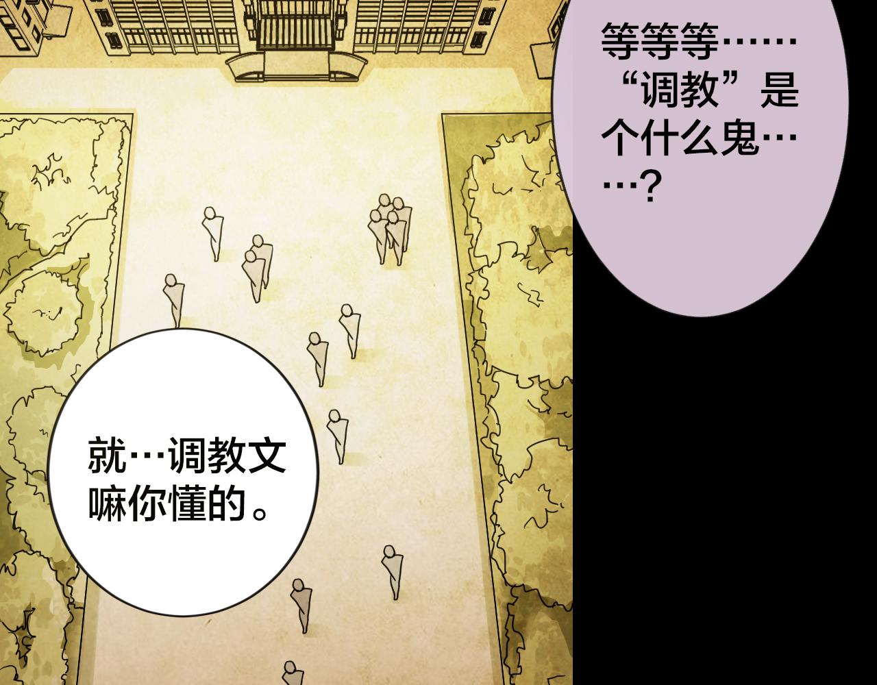 第45话 小说式生活（2）(1/2)-第44话